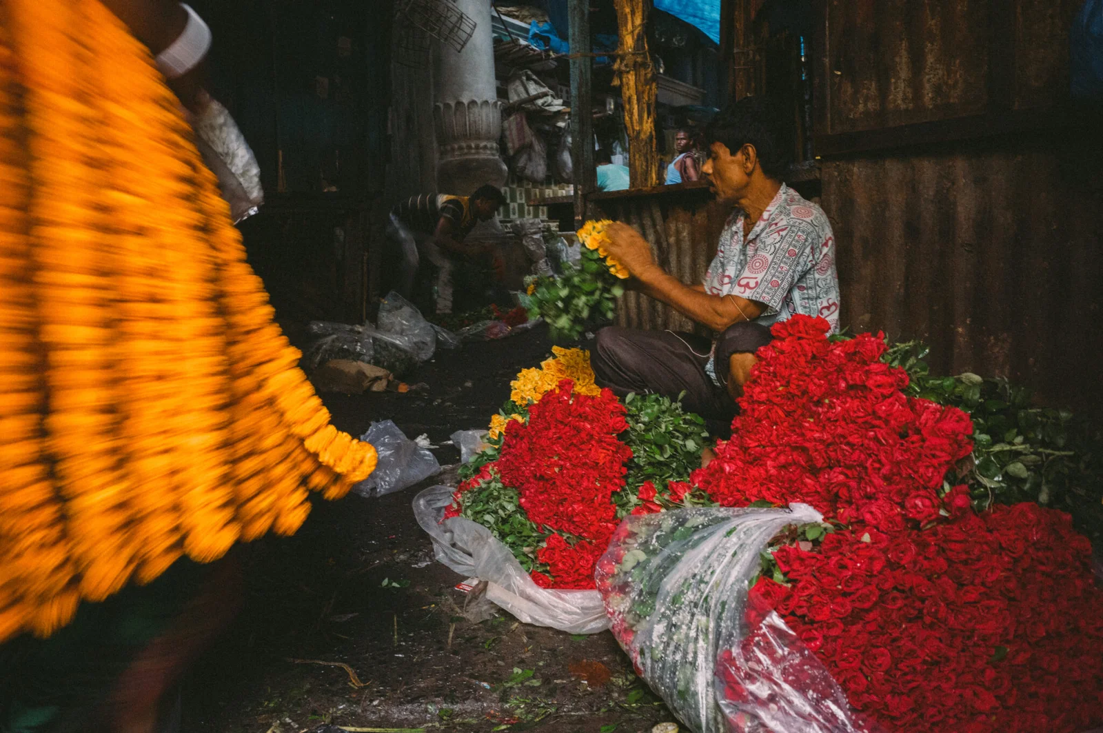 Photo Tours